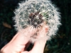 Spring is in the air! Allergy Season Relief with Acupuncture