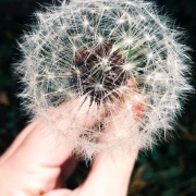 Spring is in the air! Allergy Season Relief with Acupuncture