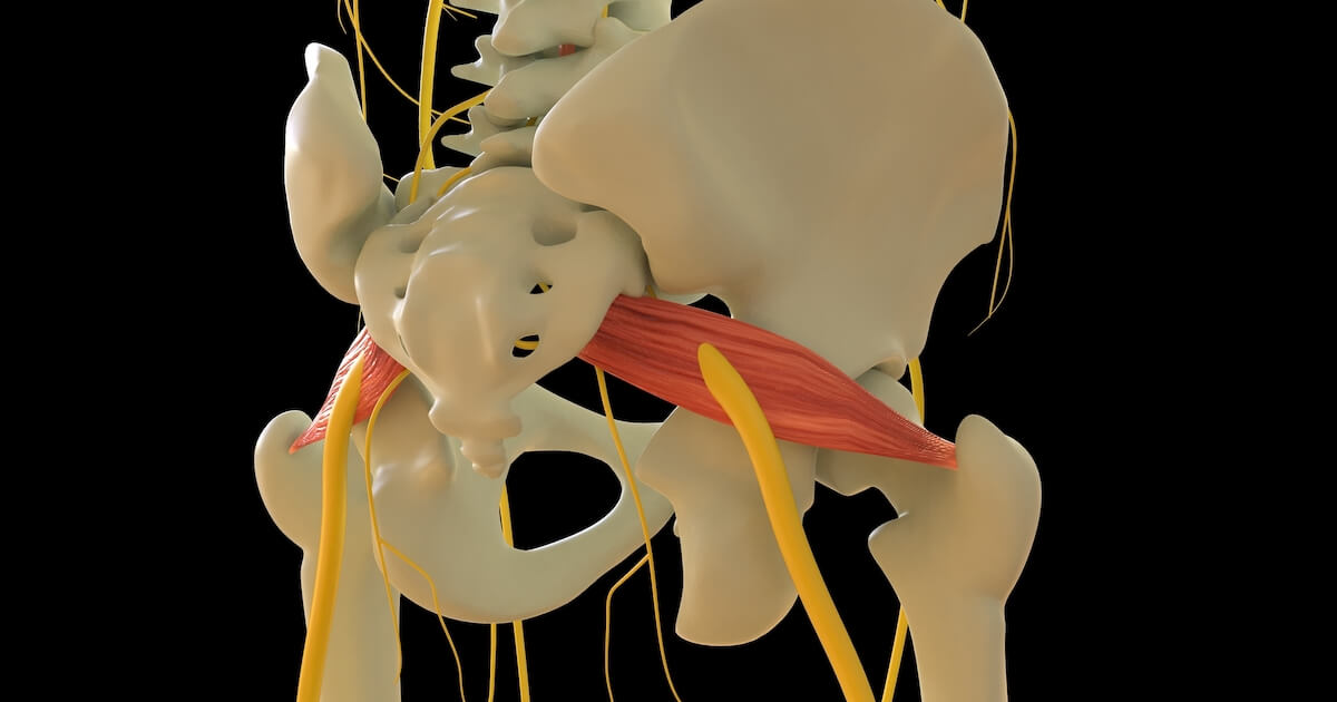 The piriformis muscle anatomy as it relates to piriformis syndrome.